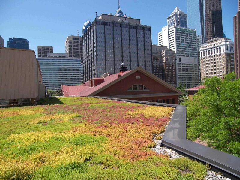 paysagiste-BRIANCONNET-min_green-roof-portfolio-4