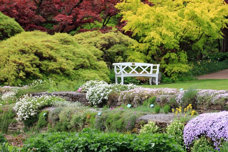 paysagiste-BRIANCONNET-min_landscape-tree-grass-plant-lawn-flower-1118629-pxhere.com
